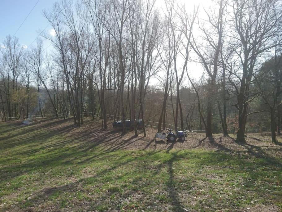 Location Meublee Au Milieu D'Un Ecrin De Verdure Aux Vieux Fours Noaillac Екстер'єр фото