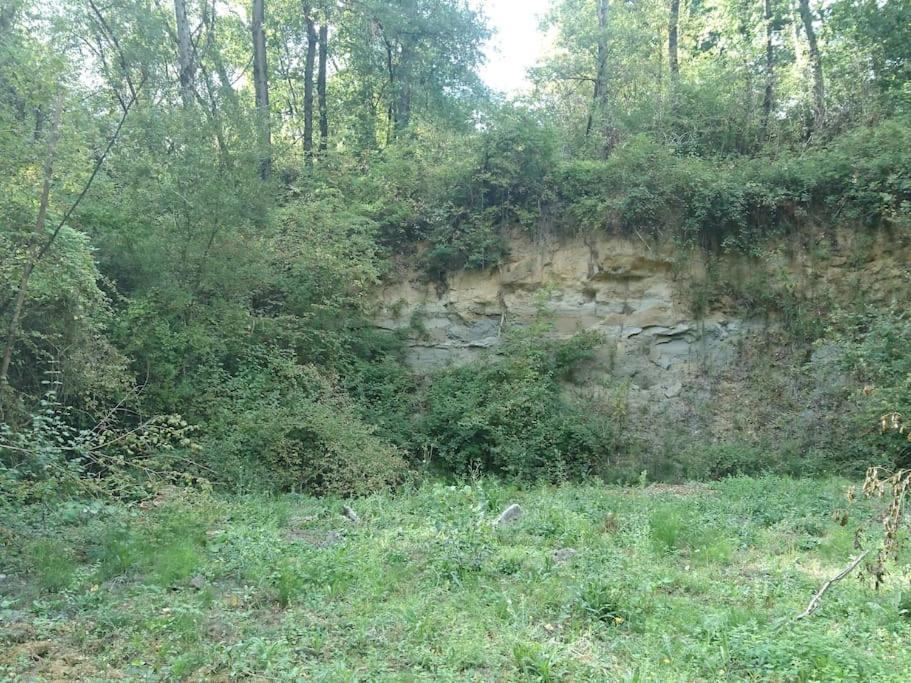 Location Meublee Au Milieu D'Un Ecrin De Verdure Aux Vieux Fours Noaillac Екстер'єр фото